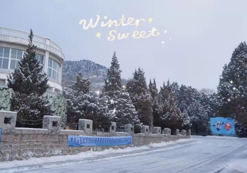 雪后的延庆驻地 雪后的延庆驻地