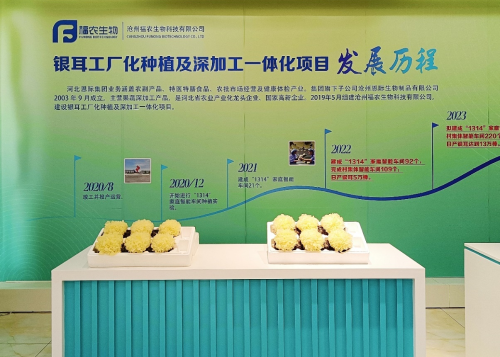 银耳种植及加工一体化展示 银耳种植及加工一体化展示