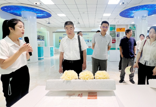实践团走访河北恩际集团 实践团走访河北恩际集团